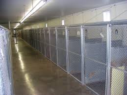 InsideKennels.jpeg